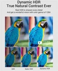 ������ Vention HDMI - HDMI v.2.1 (M/M), 1.5 �, Black (AALBG) - �������� 6