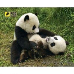 ������ ��� ���� Podmyshku �����