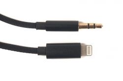 ���������� Lightning to AUX (M) PowerPlant (CA910533) - �������� 2