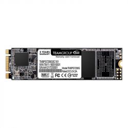 SSD  Team MS30 256GB M.2 2280 SATAIII TLC (TM8PS7256G0C101)