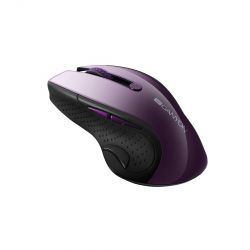���� ������������ Canyon CNS-CMSW01P Purple USB - �������� 2