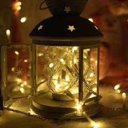 ���������� ������� ColorWay (CW-G-100L10V) 100LED, 10�, 8 ������� - �������� 7