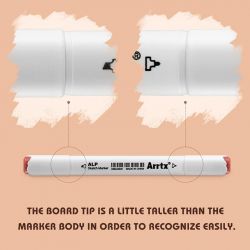 Спиртові маркери Arrtx Alp ASM-02SK 36 кольорів, відтінку шкіри (LC302208) - Картинка 4