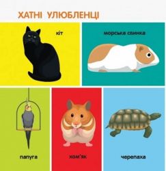�����-�����. 100 ������ - �������� 3
