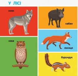 �����-�����. 100 ������ - �������� 5