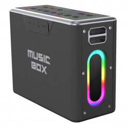 ��������� ������� HiFuture MusicBox 100W Black