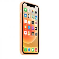 �����-�������� Apple Silicone Case with MagSafe ��� Apple iPhone 12 Pro Max Pistachio (MK053) - �������� 3