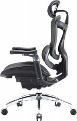 ������ ������� Sihoo Doro C300 Pro Mesh Black (DORO-C300-PRO-M101) - �������� 2