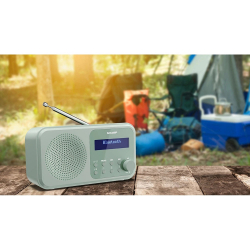 ����������� Sharp DR-P420 Green (DR-P420(GN)) - �������� 2