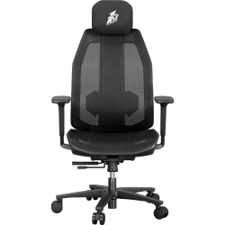 ����� ��� ������� 1stPlayer Ergo Aero