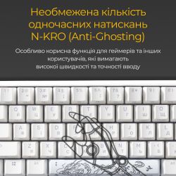 Клавіатура Ducky One 3 Mini Cherry MX Brown RGB UA USB White (DKON2161ST-BUAPXPWWWSC1) - Картинка 8