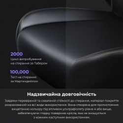 Кресло для геймеров Anda Seat Kaiser 4 Size L Black Premium PVC (AD12YDDC-L-20-B-PV/C) - Картинка 5