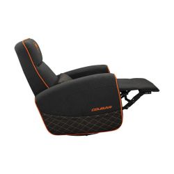 ����� ��� ������� Cougar Fidom - �������� 11