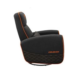 ����� ��� ������� Cougar Fidom - �������� 10