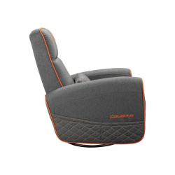 ����� ��� ������� Cougar Fidom Gray - �������� 10
