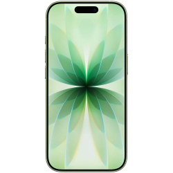 �������� Apple iPhone 17 256GB Sage (MG6N4AF/A) - �������� 2