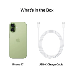 �������� Apple iPhone 17 256GB Sage (MG6N4AF/A) - �������� 5