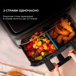 ���������� Cecotec Cecofry Dual 9000 (A01_EU01_100149) - �������� 12