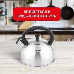 Чайник Tefal Duetto+ 2.5 л (N4210310) - Картинка 4