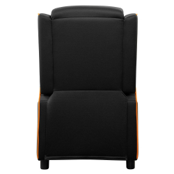    Cougar Ranger One -  6