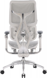 ������ ������� Sihoo Doro S100 Mesh Black (S100-M301) - �������� 2