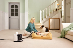   Tineco iCarpet Spot (SC050300DE) -  18