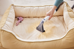   Tineco iCarpet Spot (SC050300DE) -  33