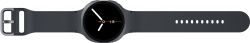 �����-�������� Samsung Galaxy Watch8 44mm Gray (SM-L330NDAASEK) - �������� 6
