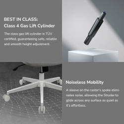 ������ ��� �������� Cougar Stryder - �������� 17