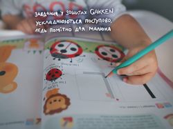 Розумні ігри. Ранній розвиток. 2–4 роки + наліпки і багаторазові сторінки для малювання / Gakken - Картинка 15