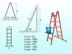 ������� ����������� �������. 5 ����. �� �������� - �������� 1