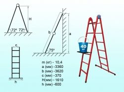 ������� ����������� �������. 6 ����. �� ��������