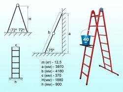 ������� ����������� �������. 7 ����. �� ��������