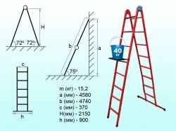 ������� ����������� �������. 8 ����. �� ��������