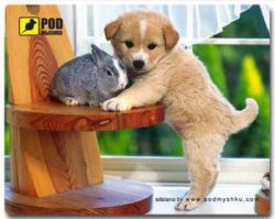 ������� ��� ���� ������ Podmyshku �������