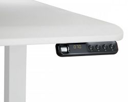      71-122 ,   ,   100  Cougar Royal 150 White -  6