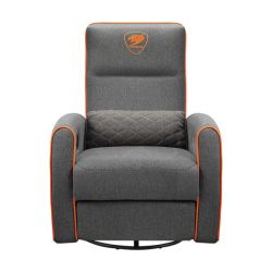 �����-���������, ������� �������, ������ Cougar FIDOM GRAY