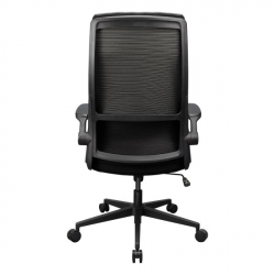 ����� ������ ����������, �������� ��������, ������ Cougar STRYDER - �������� 7