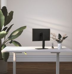  ͳ-   17-32" (2- 8 ) Gembird MS-D1ST-02 -  10