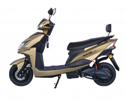 �������������, 2000 ��, ���������� Maxxter SPEEDY GTS (gold) - �������� 2