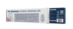����������� �������� (��������� + ����), Silent Key Pro Business, ���� Gembird KBS-WMS-01-W-CYRL - �������� 4