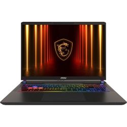 MSI ������� 16_2KI/U7-255HX/32/1TB SSD/RTX 5070Ti 12GB /DOS/BL/Cosmos Gray Vector 16 HX AI A2XWHG-224XUA - �������� 1