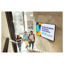 VIEWSONIC 55"UHD РК дисплей, 500nits, 5000:1, 8G RAM/32GB, H DMI-IN*3, HDMI-OUT*1, USB-A*2, USB-C*1, Audio in*1 CDE5531-1C - Картинка 15