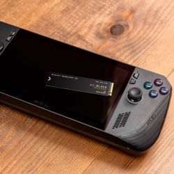 WESTERN DIGITAL �������� ���� WD Black SN7100 1TB NVMe  WDS100T4X0E - �������� 10