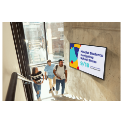 VIEWSONIC 65" UHD РК дисплей, 500nits, 5000:1, 8G RAM/32GB, OPS slot*1, HDMI-IN*3, HDMI-OUT*1, USB-A*2, USB-C* CDE6531-1C - Картинка 16