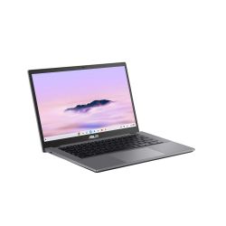 ASUS ������� 14FMI/Core3-100U/8/256/Intel HD/Chrome/Bla ck CX3402CVA-PQ0063 - �������� 3