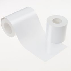 ���� �������� EPSON SureLab Photo Paper Gloss (250 (C13S400117)