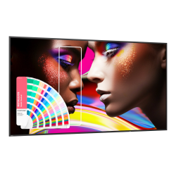 BENQ 65" 16:9 IPS �� ������, 3840�2160, 800 ��/�2, 24/ 7, �� ������ 13.0, EDLA, Pantone Validated, 2xHDM SH6504 BLACK - �������� 3