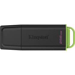 ����-����������� KINGSTON DTXG2/256GB