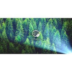 ACER проектор AOpen QF13s (LED, FHD, 6500LL(350AL), 100 0:1, 1.2, 5W(Bt), 30000г, HDMI, USB-A, 1,9Kg) AOpen QF13s - Картинка 10